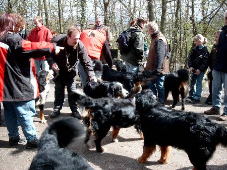 Foto: Berner Sennenhundetreffen April 2004 in Kirchheim