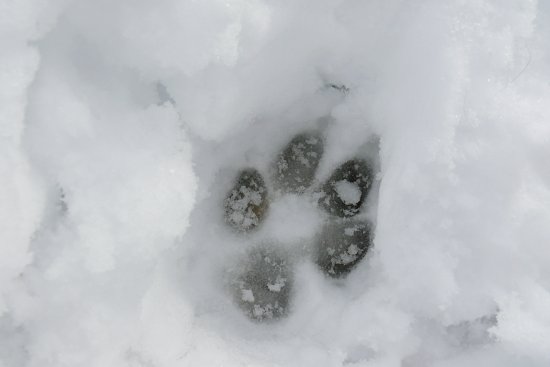 Steinbachtalsperre, Euskirchen-Kirchheim, Naherholungsgebiet, Eisspiegel