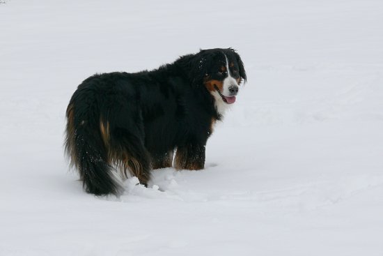 Kath. Bildungsstätte Steinbachtalsperre, Euskirchen-Kirchheim, Naherholungsgebiet