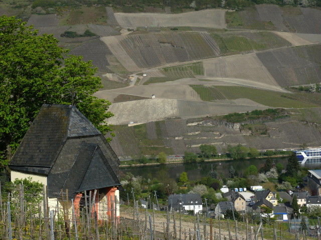 Weinberge bei Bernkastel-Kues, Mosel