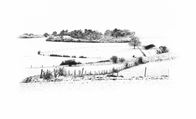 White Minimalism III