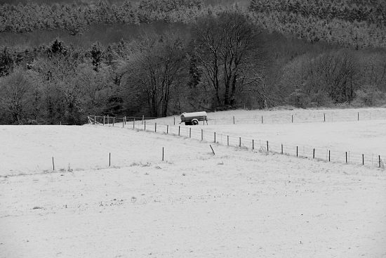 Stille schneebedeckte Wiesen, Euskirchen-Kirchheim, Naherholungsgebiet Steinbachtalsperre