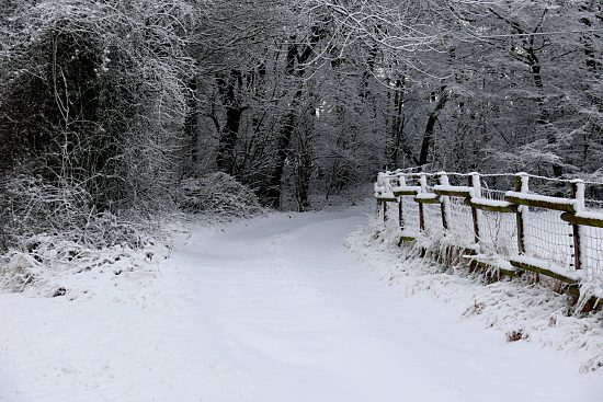 Verschneiter Wirtschaftsweg, Euskirchen-Kirchheim, Naherholungsgebiet Steinbachtalsperre