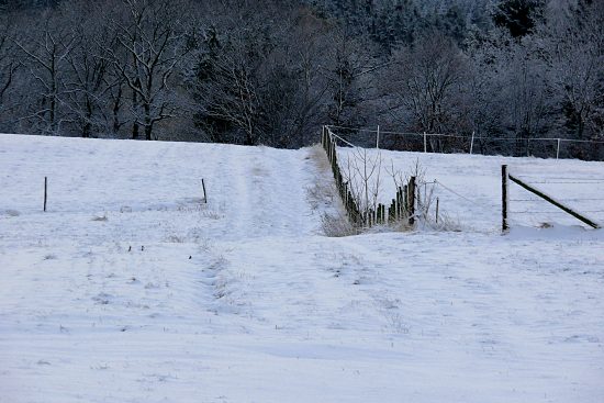 Winterlandschaft, Euskirchen-Kirchheim, Naherholungsgebiet Steinbachtalsperre