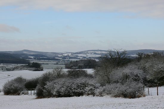 Schneebedeckte Nordeifel, Euskirchen-Kirchheim, Naherholungsgebiet Steinbachtalsperre