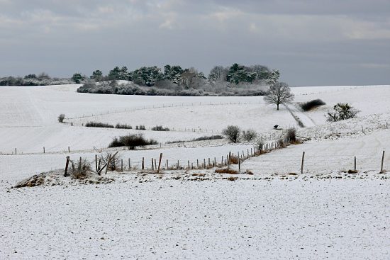 Winterlandschaft, Euskirchen-Kirchheim, Naherholungsgebiet Steinbachtalsperre