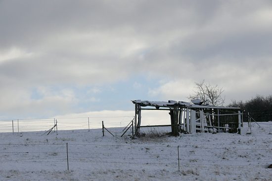 Alter Viehunterstand, Euskirchen-Kirchheim, Naherholungsgebiet Steinbachtalsperre