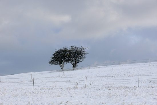 Einsames Geb�sch, Euskirchen-Kirchheim, Naherholungsgebiet Steinbachtalsperre