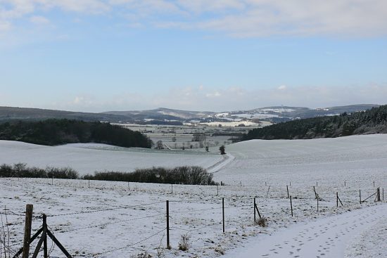 Schneebedeckte Agrarlandschaft