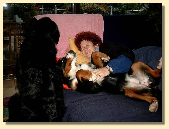 Aga und Ginja auf unserer Wohnzimmercouch