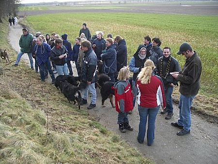 Berner Sennenhundetreffen in Kempen