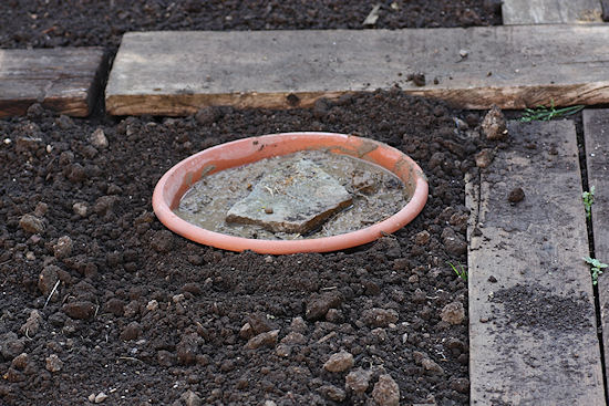 Nistmaterial für Rauchschwalben