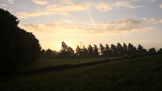Foto Sierscheid Westrand abendstimmung