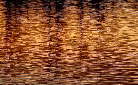 Goldener Wasserspiegel