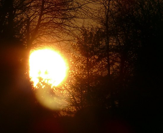 Licht in der Bauml�cke