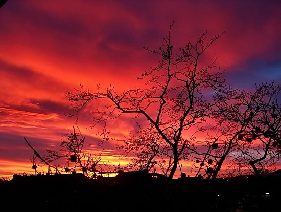 Letzter Lichtschein �ber Kirchheim
