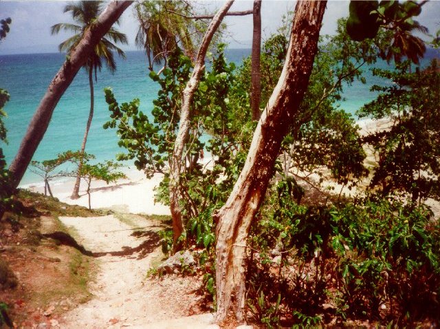 Blick auf den Strand (Cayo Levantado)