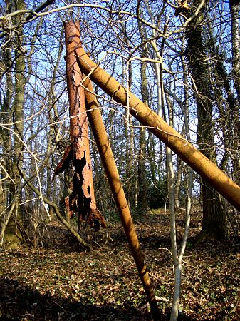 Foto: Alter, verrosteter Zaunpfahl