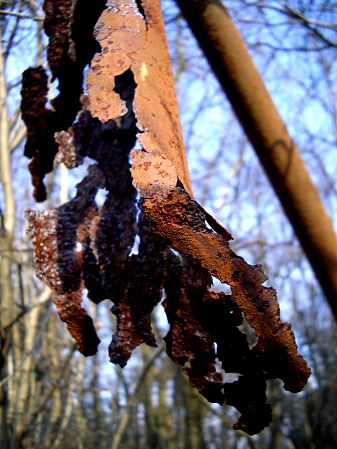 Foto: Verrosteter Zaunpfahl, Detailaufnahme