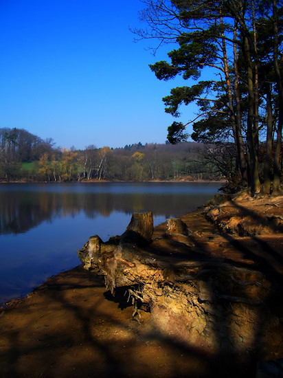 Foto: Steinbachstausee in der Morgensonne