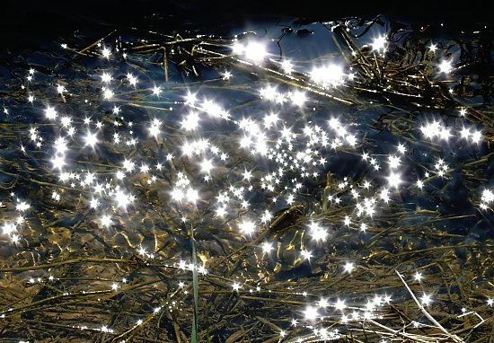 Foto: Sonnenglanz auf Wasser