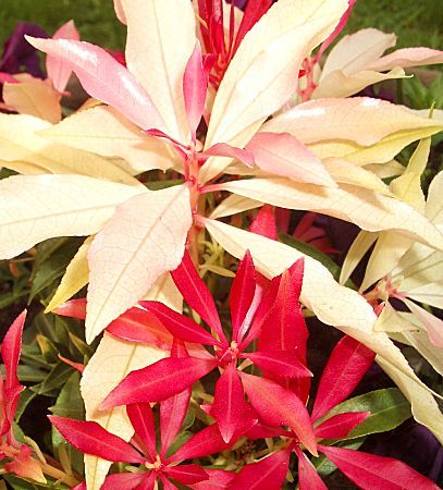 Foto: keine Ahnung...