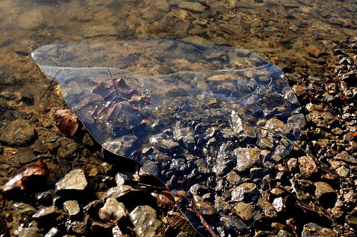 Steinbachtalsperre, Euskirchen-Kirchheim, Naherholungsgebiet, Eisscholle