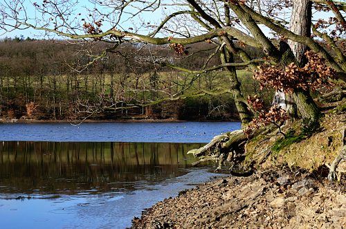 Winterszene Steinbachtalsperre, Euskirchen-Kirchheim, Naherholungsgebiet, Eisspiegel