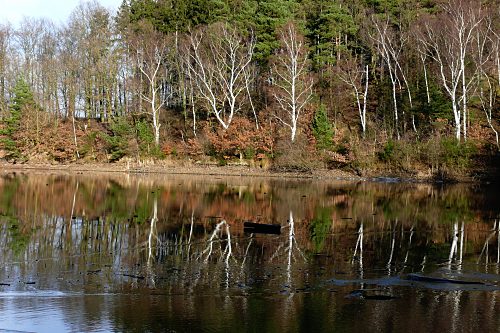 Steinbachtalsperre, Euskirchen-Kirchheim, Naherholungsgebiet, Eisspiegel