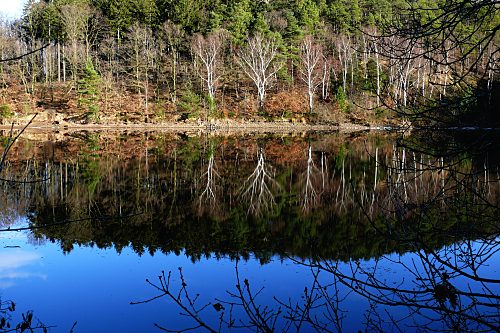 Steinbachtalsperre, Euskirchen-Kirchheim, Naherholungsgebiet, Eisspiegel