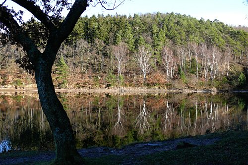Steinbachtalsperre, Euskirchen-Kirchheim, Naherholungsgebiet, Eisspiegel