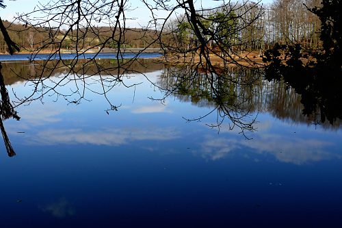 Steinbachtalsperre, Euskirchen-Kirchheim, Naherholungsgebiet, Eisspiegel