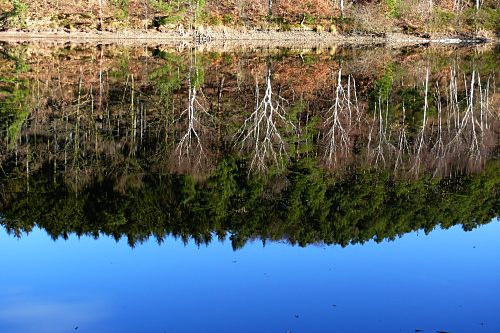 Steinbachtalsperre, Euskirchen-Kirchheim, Naherholungsgebiet, Eisspiegel